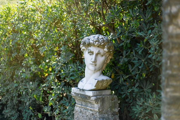 Scultura da giardino un busto di testa maschile