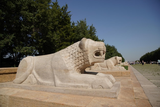 Scultura del leone situata presso la Strada dei Leoni ad Anitkabir Ankara Turkiye