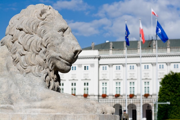 Scultura di un leone vicino al Palazzo Reale di Varsavia in Polonia