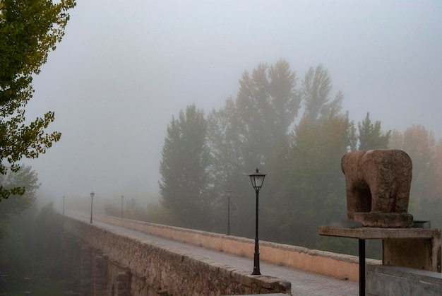 Scultura in pietra di Salamanca iberica di Verraco in Spagna