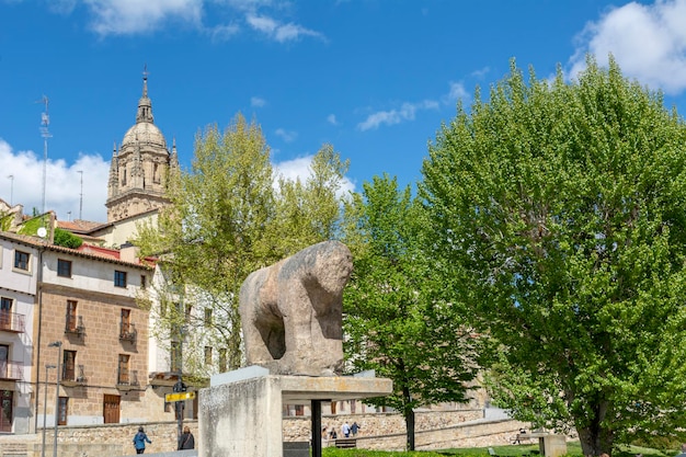 Scultura in pietra di Salamanca iberica di Verraco in Spagna