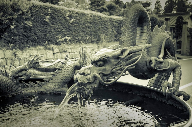 Scultura tradizionale del drago giapponese vicino all'ingresso del tempio con acqua corrente, il luogo viene utilizzato per lavarsi le mani prima di entrare