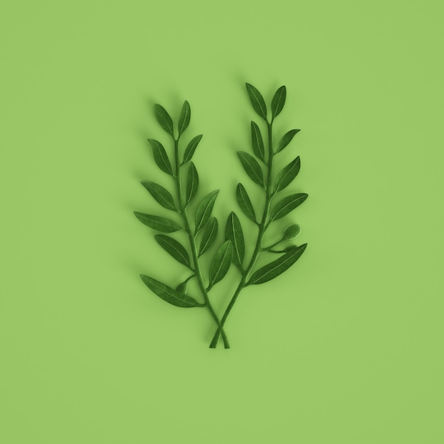 Scultura verde oliva del branche su fondo verde pastello