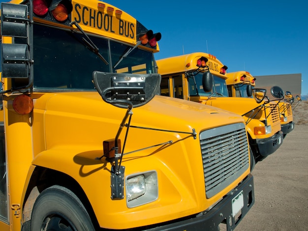 Scuolabus parcheggiati vicino al liceo.