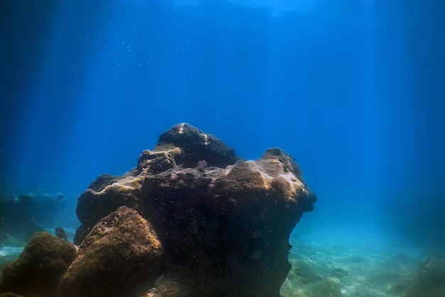 Sea Life Underwater Rocks Luce solare, vita sottomarina