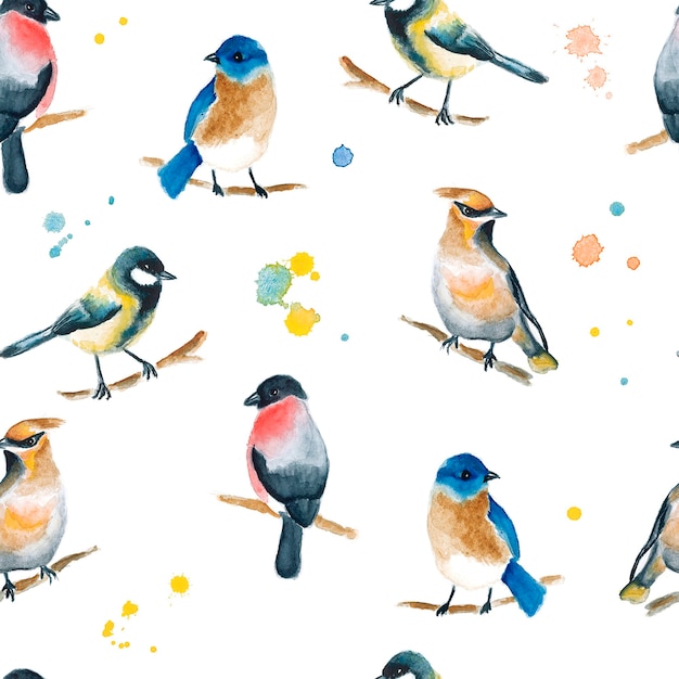 Seamless pattern acquerello con uccelli