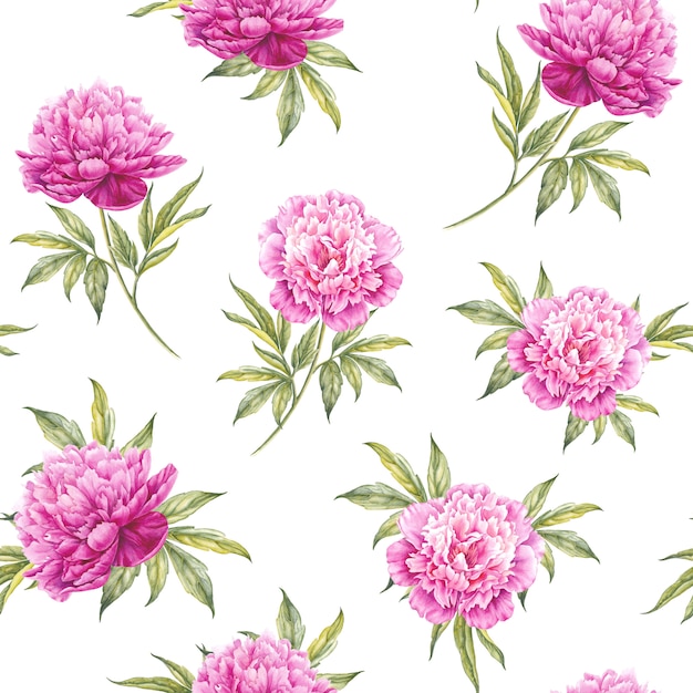 Seamless pattern floreale con rose, acquerello. Illustrazione vettoriale