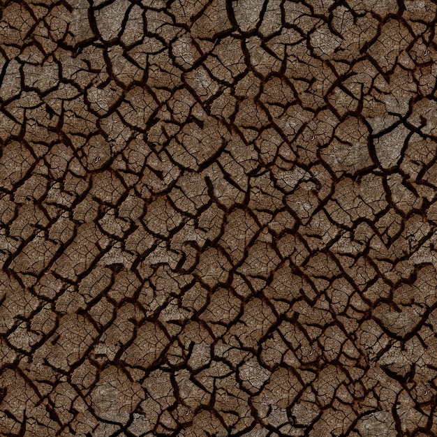 Seamless texture terra secca incrinata