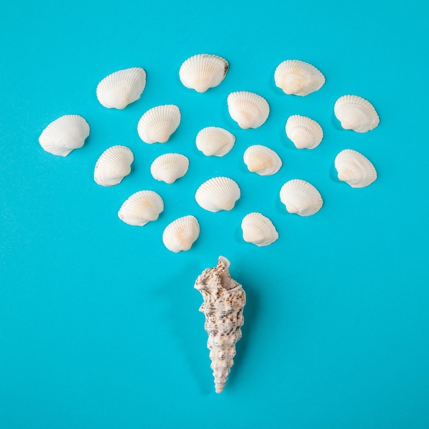 Seashell di forma conica con tante piccole conchiglie sulla superficie della carta blu