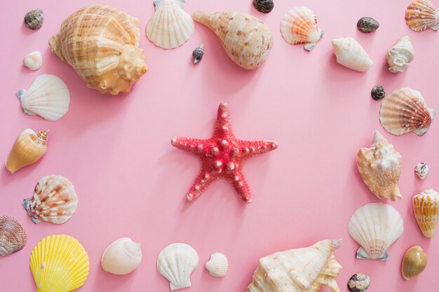 Seashells e simbolo della stella delle vacanze estive sulla spiaggia su una priorità bassa dentellare.