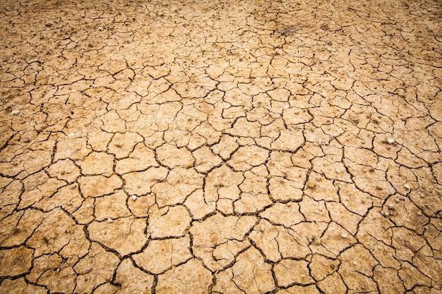 secco crackato di terra