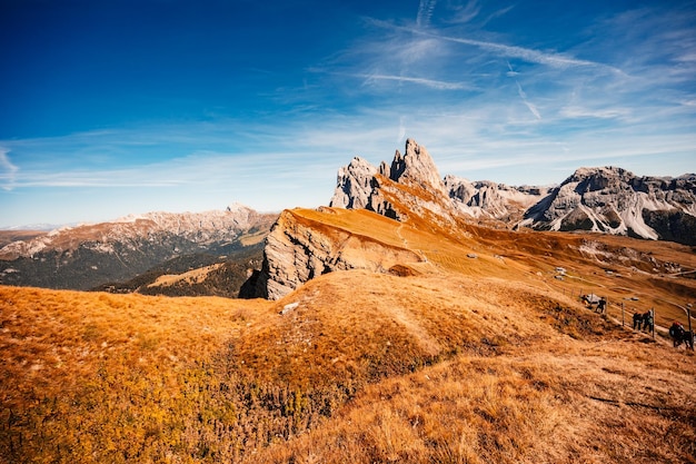 Seceda Maestoso paesaggio della natura autunnale rossa alpina Seceda Meraviglioso scenario naturale escursionistico nelle Dolomiti Chalet di legno nelle Dolomiti Gruppo delle Odle Val Gardena Maestoso picco Furchetta