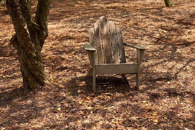 Sedia Adirondack all'ombra della foresta