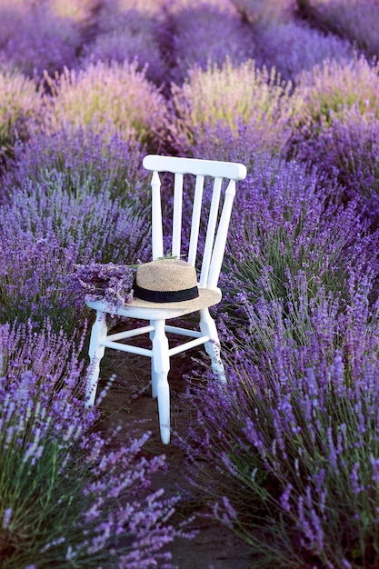 sedia bianca con bouquet di lavanda e cappello di paglia alla fioritura dei bellissimi fiori di lavanda.