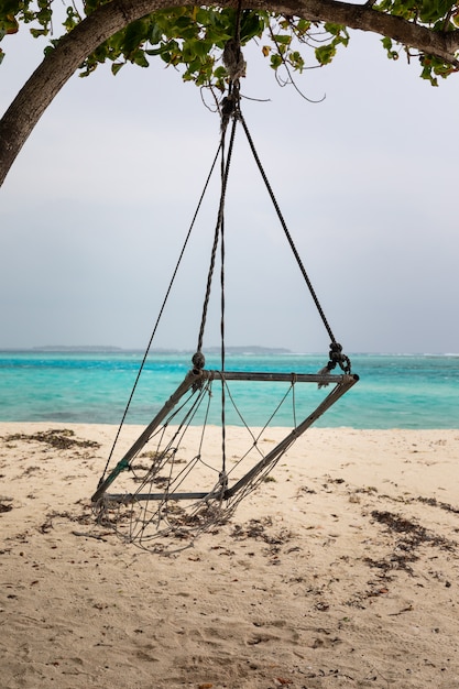 Sedia che pende da un albero su una spiaggia tropicale