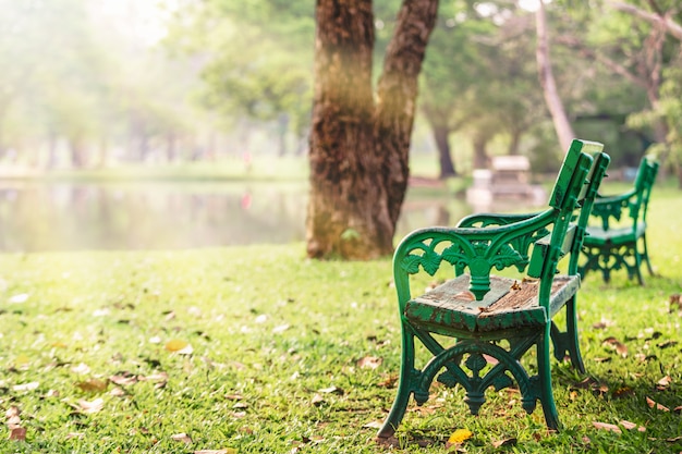 Sedia verde situata nel parco con la luce del sole del mattino