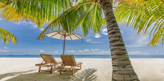 Sedie a sdraio sotto l'ombrellone e la palma. Natura della spiaggia del mare di sabbia bianca del primo piano. Incredibile idilliaco