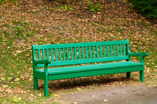 Sedile in legno per esterni per rilassarsi nel parco all'aperto in una giornata di sole