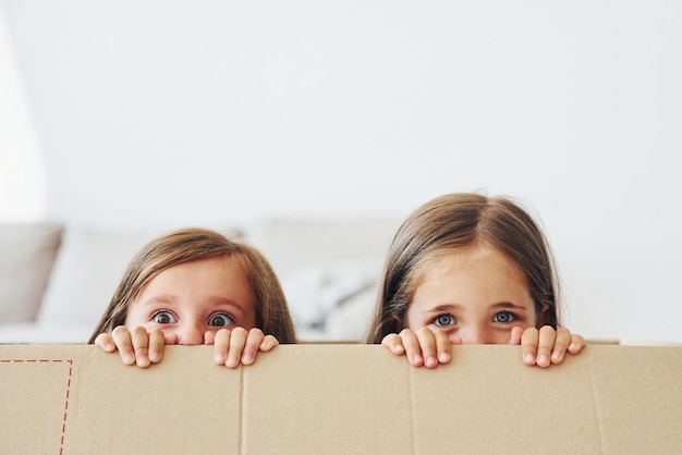 Seduto nella scatola di carta Due bambine carine al chiuso a casa insieme Bambini che si divertono