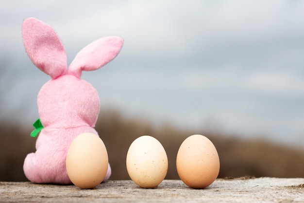 È seduto su una tavola con le uova di Pasqua.