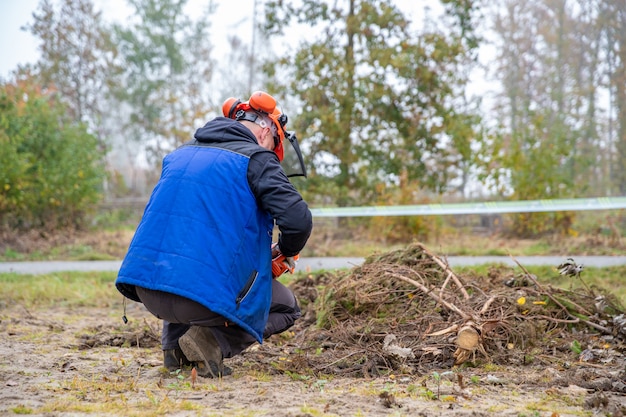 Segare un ramo di un albero con una motosega mentre si lavora nella foresta