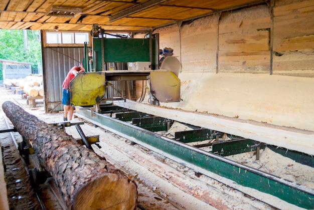 Segheria Il processo di lavorazione dei tronchi nella segheria taglia il tronco dell'albero