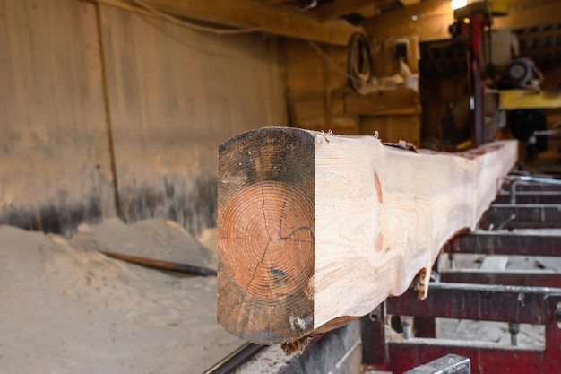 Segheria per la lavorazione del legno Taglio di tronchi di pino sulla lavorazione della segheria