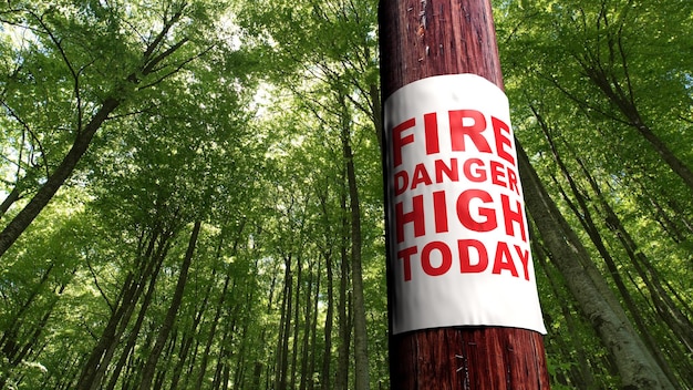 Segnale di pericolo di incendio sull'albero