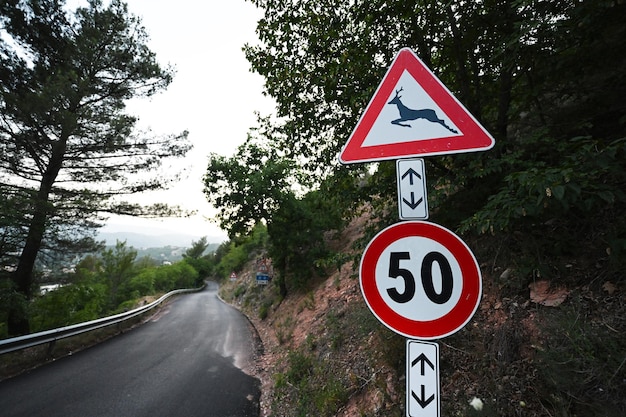 Segnale stradale di attraversamento dei cervi e limite di velocità di cinquanta chilometri all'ora