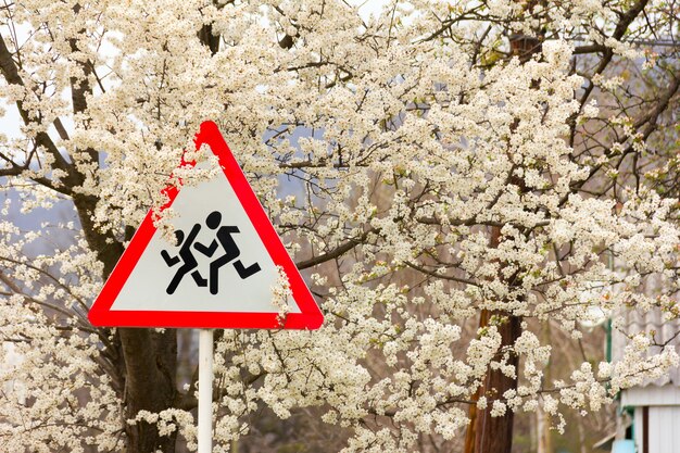 Segnale stradale di avvertimento - Bambini, tra i rami di un albero da frutto in fiore. Il concetto di sicurezza dei bambini nel traffico stradale.