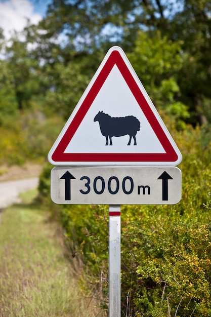 Segnale stradale triangolare di avvertimento delle pecore sulla strada su una strada rurale