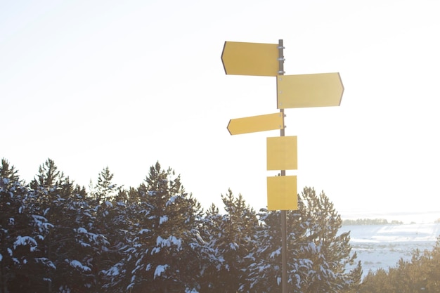 Segnali di direzione in una pineta in inverno