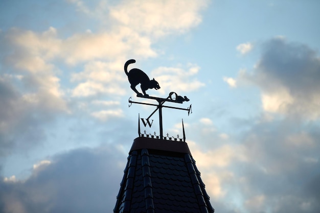 Segnavento sul tetto della casa a forma di topo che cattura il gatto, sfondo del cielo azzurro, spazio per le copie. Sagoma di banderuola di ferro divertente. Banderuola con direzioni cardinali