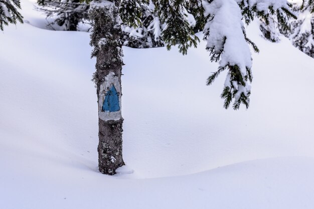 Segno del sentiero escursionistico. Il turista blu firma dentro il percorso della montagna in grande neve.