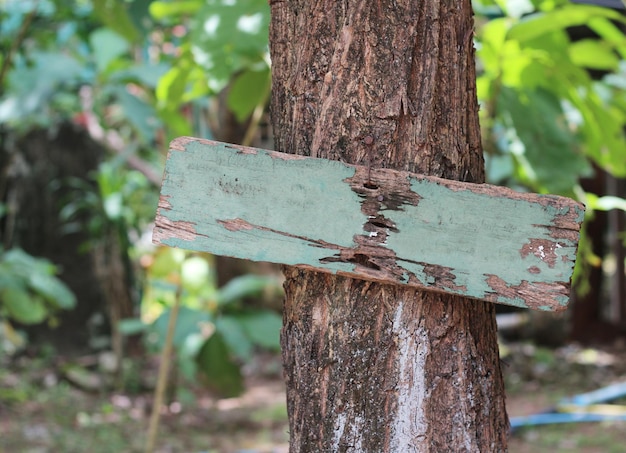 Segno di legno vuoto nel giardino