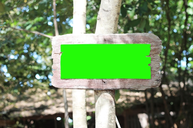 segno di schermo verde sull'albero con tracciato di ritaglio