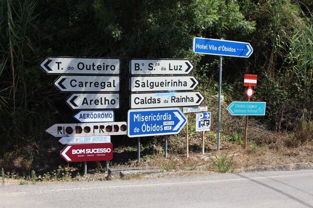 Segno informativo su strada contro gli alberi