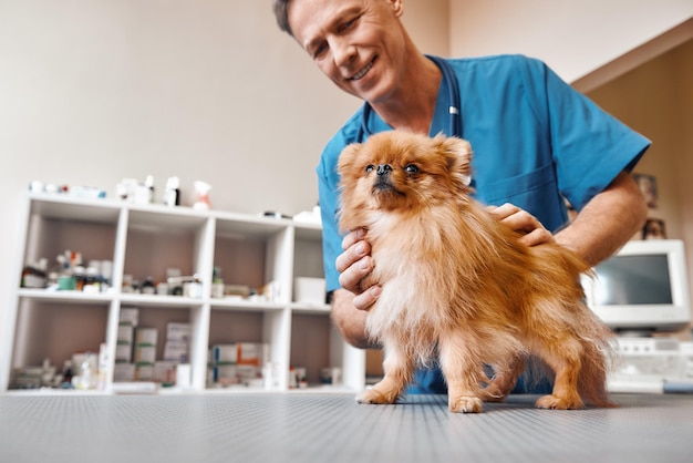 Sei un veterinario di mezza età sano, gentile e allegro che guarda il suo paziente e sorride