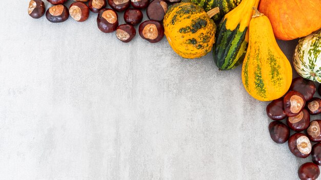 Selezione di varie zucche e castagne su cemento grigio testurizzato, vista dall'alto