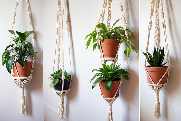 Self-made Macrame Plant Hanger Shelf