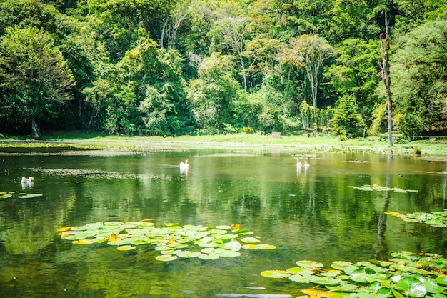 Selva Negra a Matagalpa, lago e alberi nella zona montana centrale del Nicaragua