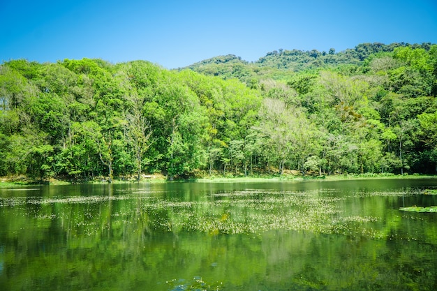 Selva Negra a Matagalpa, lago e alberi nella zona montana centrale del Nicaragua