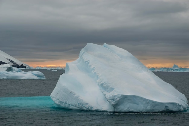 Selvaggio paesaggio ghiacciato Penisola Antartica Antartide