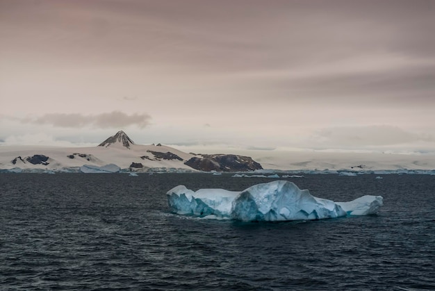 Selvaggio paesaggio ghiacciato Penisola Antartica Antartide