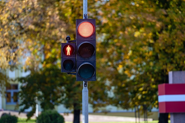 Semaforo rosso in primo piano semaforo Sfondo autunnale dai colori vivaci