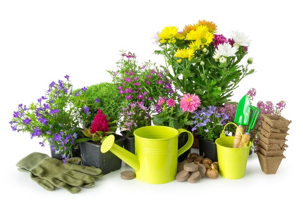 Semenzale di piante e fiori da giardino Attrezzatura da giardino annaffiatoio secchio pentole pala rastrello su bianco