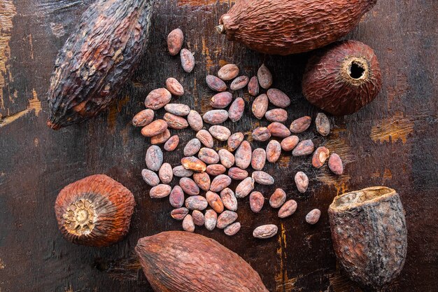 Semi di cacao e cacao secchi su un fondo di legno