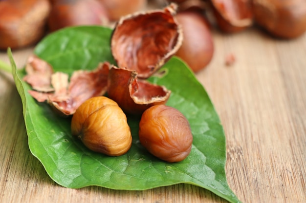 semi di castagne su legno