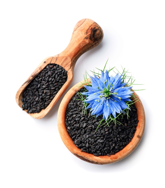 Semi di cumino nero con fiore di nigella sativa su sfondi bianchi