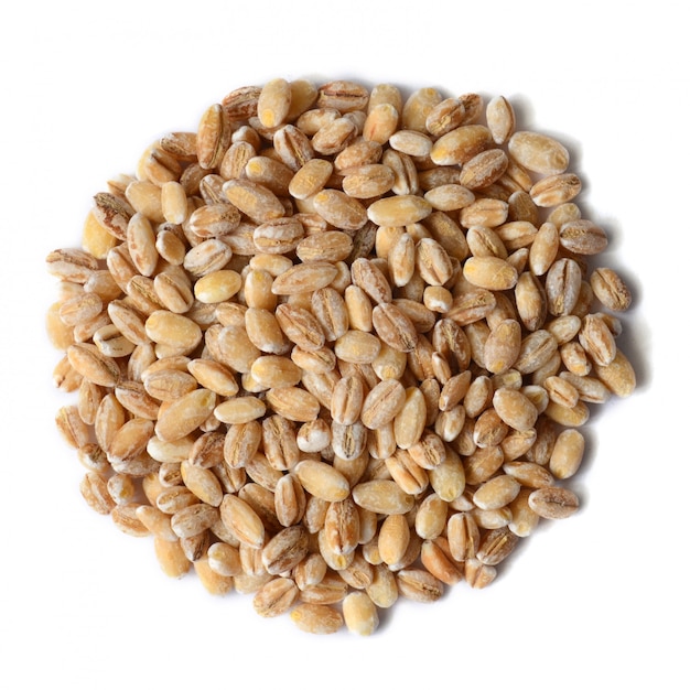 Semi di grano d&#39;orzo